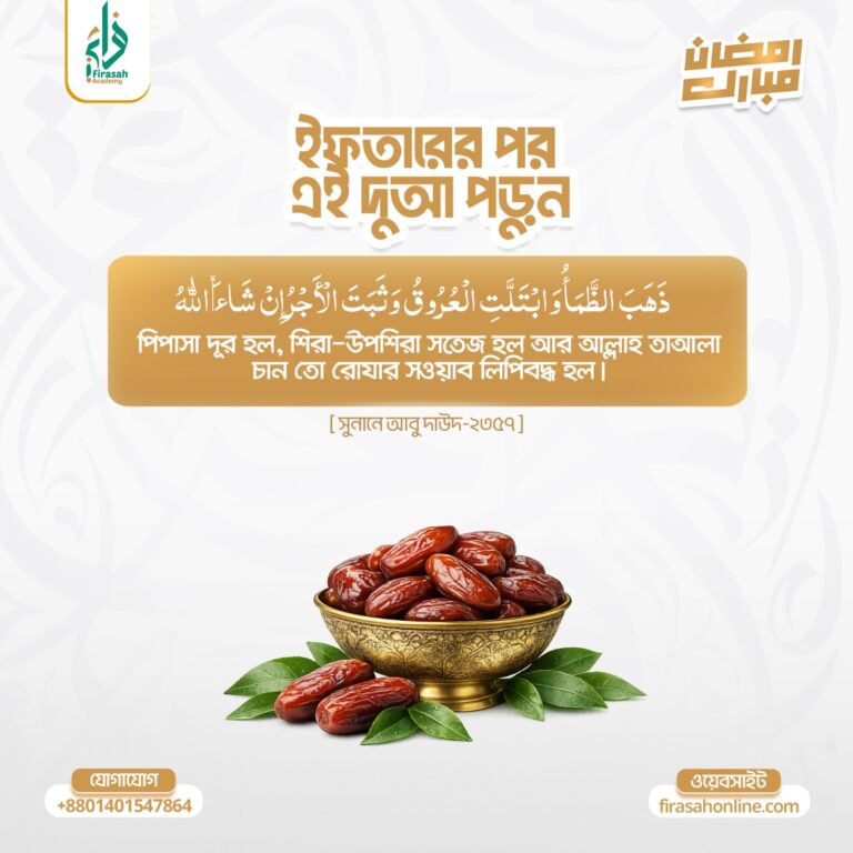 WhatsApp Image 2026-02-16 at 11.12